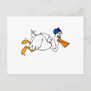 Steve Stork Postcard