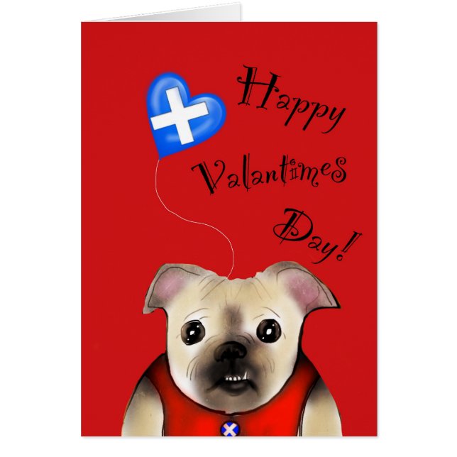 Steve valantimes cerd (Front)