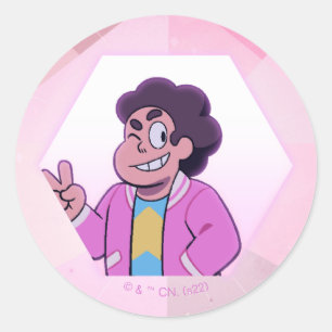 Steven Universe   Pink Diamond Portrait Classic Round Sticker