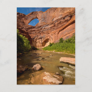 Stevens Arch - Escalante River - Utah Postcard
