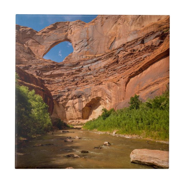 Stevens Arch - Escalante River - Utah Tile (Front)
