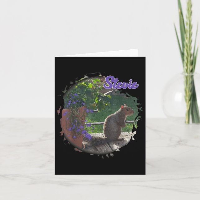Stevie The Squirrel  Card (Front)