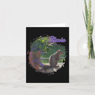 Stevie The Squirrel Card