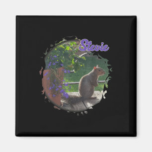 Stevie The Squirrel Magnet