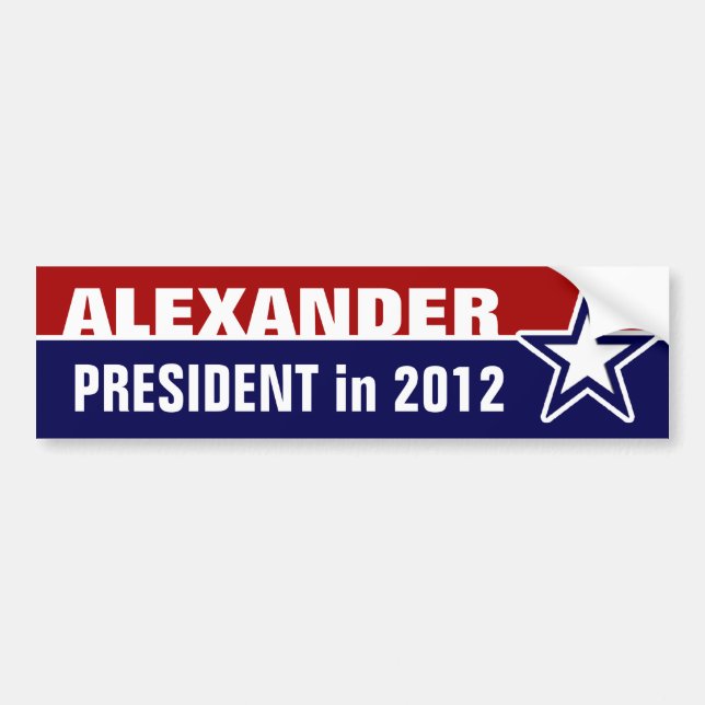 Stewart Alexander in 2012 Bumper Sticker (Front)