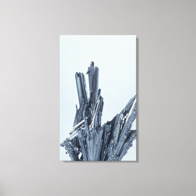 Stibnite crystals, the main ore of Antimony, Boliv Canvas Print (Front)
