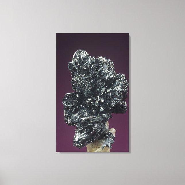 Stibnite crystals, the main ore of Antimony, Roman Canvas Print (Front)