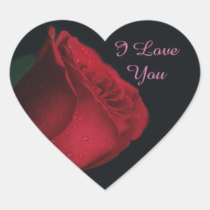 Sticcker Heart Sticker