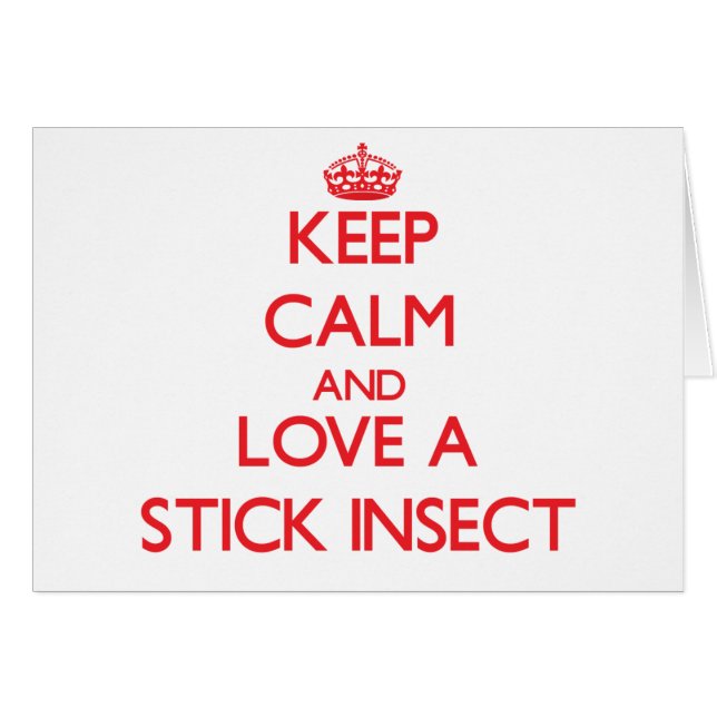 Stick Insect (Front Horizontal)