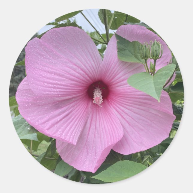 STICK IT - POWER OF THE PINK CLASSIC ROUND STICKER (Front)