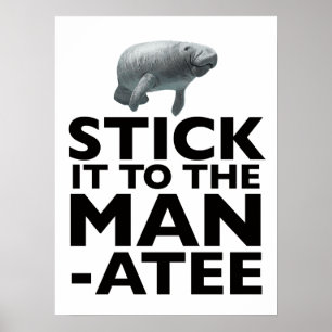 STICK IT TO THE MANATEE poster