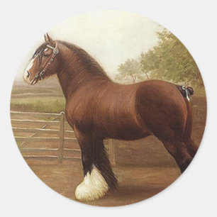 Sticker Antique Bay Clydesdale Draught Horse Parad