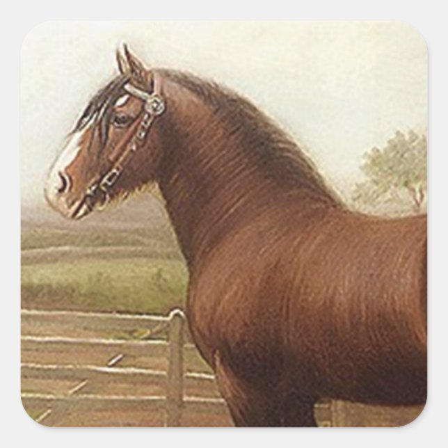 Sticker Antique Bay Clydesdale Draught Horse Parad (Front)
