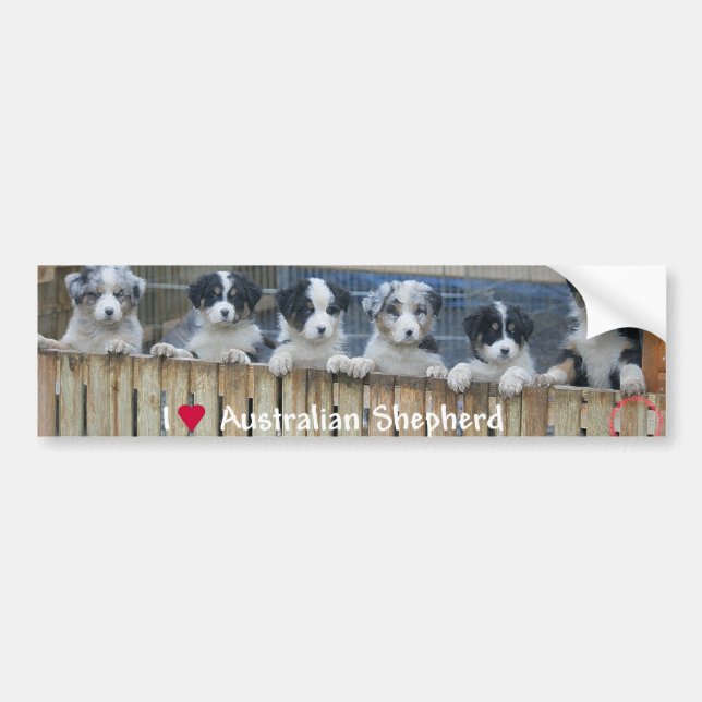 Sticker conveys “Australian Shepherd “ (Front)