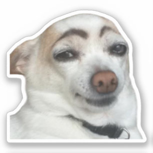 Sticker Eyebrow Dog Meme