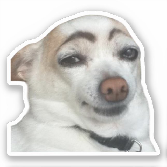 Sticker Eyebrow Dog Meme (Front)