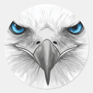 Sticker. Eyes and beak. A stern and serious look. Classic Round Sticker