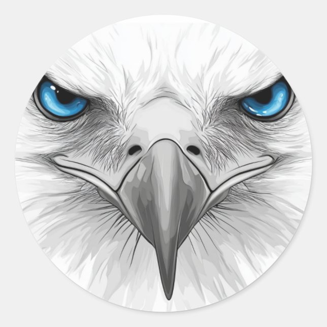 Sticker. Eyes and beak. A stern and serious look. Classic Round Sticker (Front)