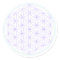 Sticker Flower of Life watervitalizer