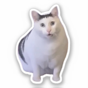 Sticker Huh Cat Meme