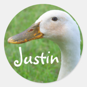 sticker name : Justin