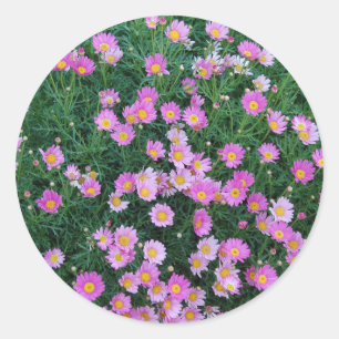 Sticker-Pink Flower Classic Round Sticker