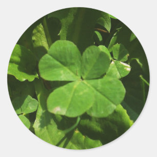 Sticker Porte-bonheur