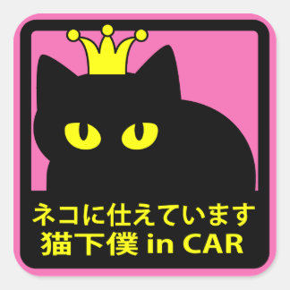 Sticker "Serve Cats" Pink