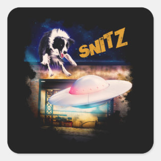 sticker Snitz from Bob's Saucer Repair