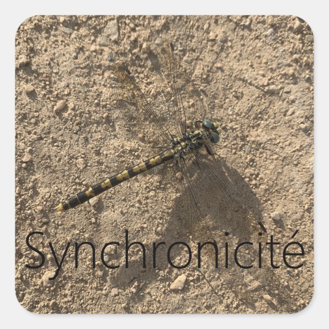 Sticker 'Syncrhonicité' (Front)