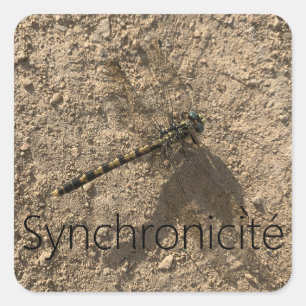 Sticker 'Syncrhonicité'