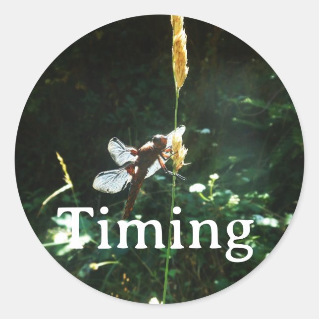 Sticker Timing (Front)