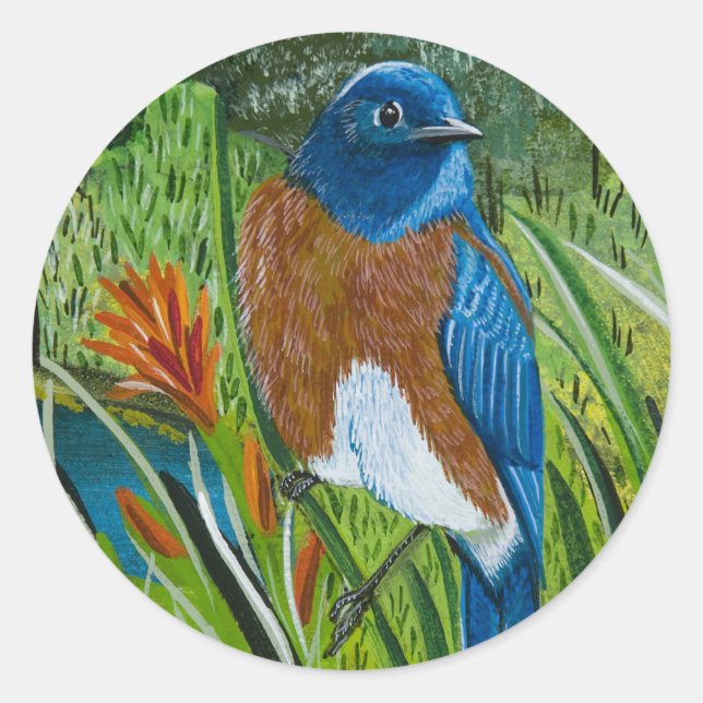 Sticker "Western Bluebird" (Front)
