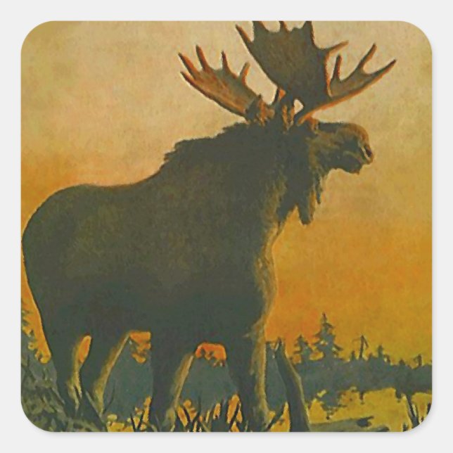 Sticker Wildlife Bull Moose @ Twilight Sundown (Front)