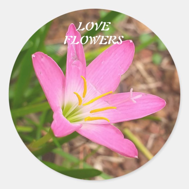 Sticker with nature related message (Front)