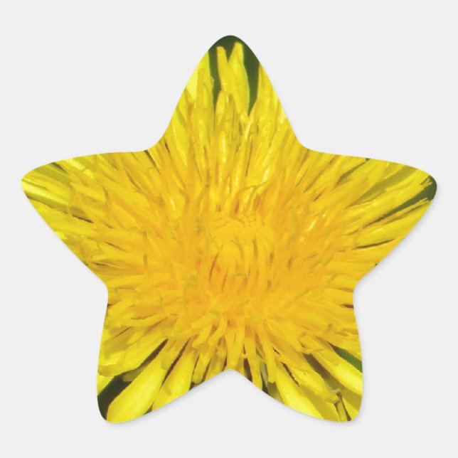Sticker yellow dandelion (Front)