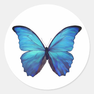 Stickers Blue Morpho Butterfly