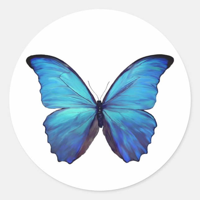 Stickers Blue Morpho Butterfly (Front)