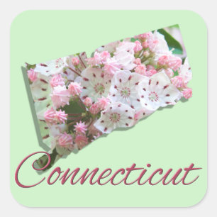 Stickers - CONNECTICUT