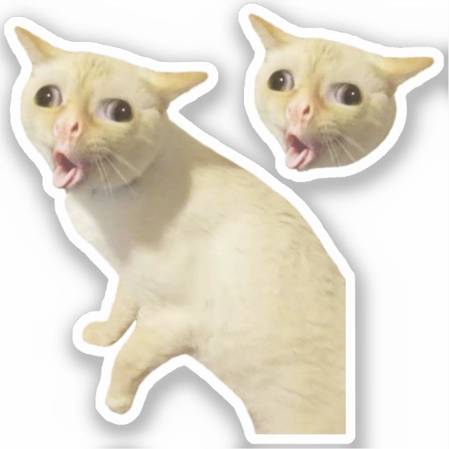 Stickers Coughing Cat Meme (Front)