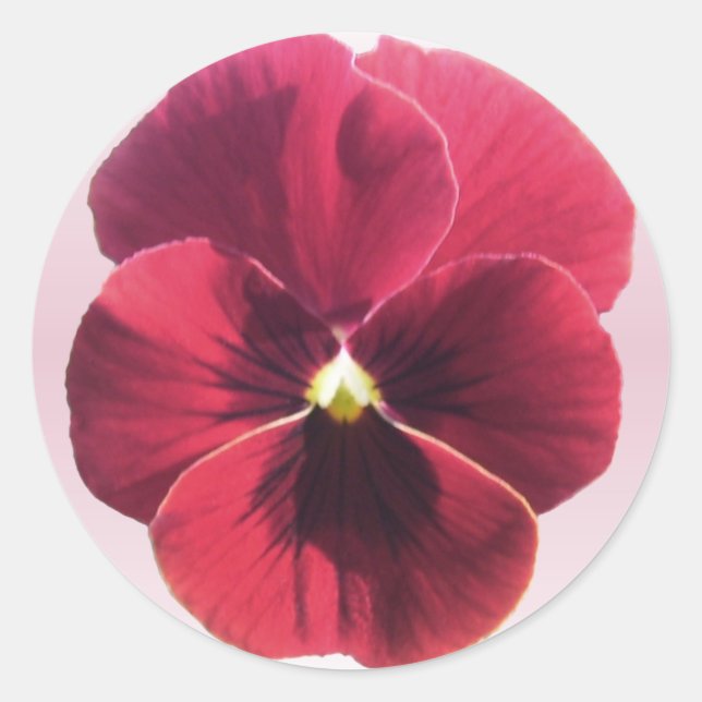 Stickers - Dark Red Pansy (Front)