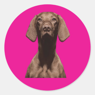 Stickers Dog lovers