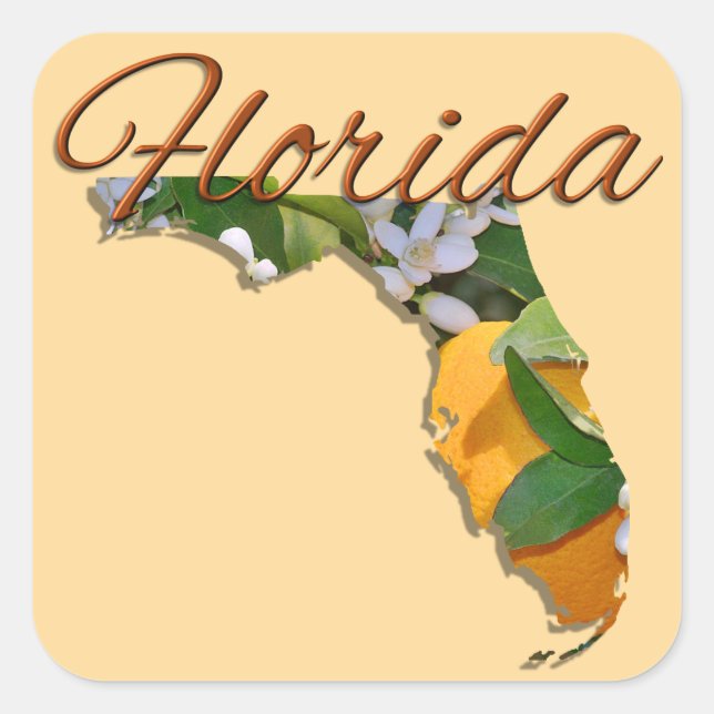 Stickers - FLORIDA (Front)