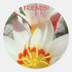 STICKERS FRIENDS! Tulip Flowers Stickers Gifts
