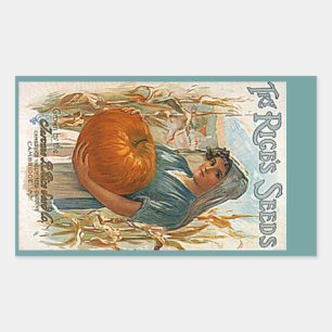 STICKERS Heirloom Antique Pumpkin Seeds Rices Seed