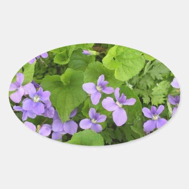 Stickers - Herb Violets (Front)