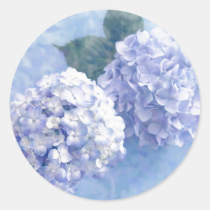 Stickers-Hydrangea Flowers Classic Round Sticker