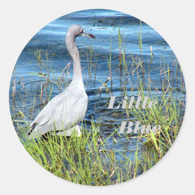 Stickers, Little Blue Classic Round Sticker (Front)