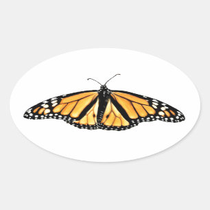 Stickers Male Monarch Butterfly
