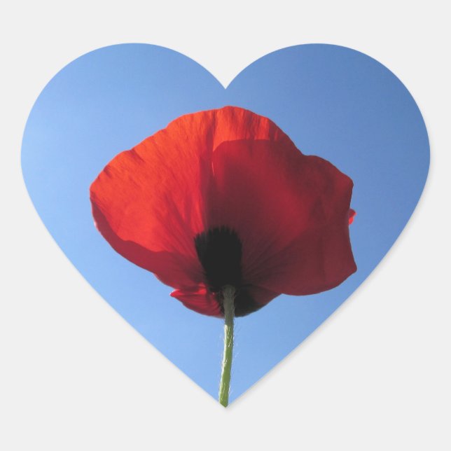 Stickers - Memorial Day Red Poppy Blue Sky (Front)